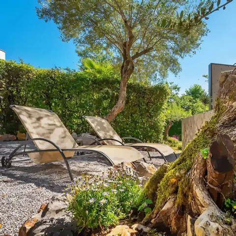 House Maxim - Garden