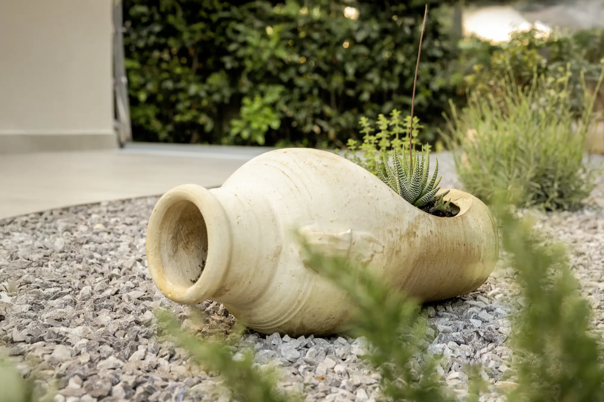 House Maxim - Terrace 