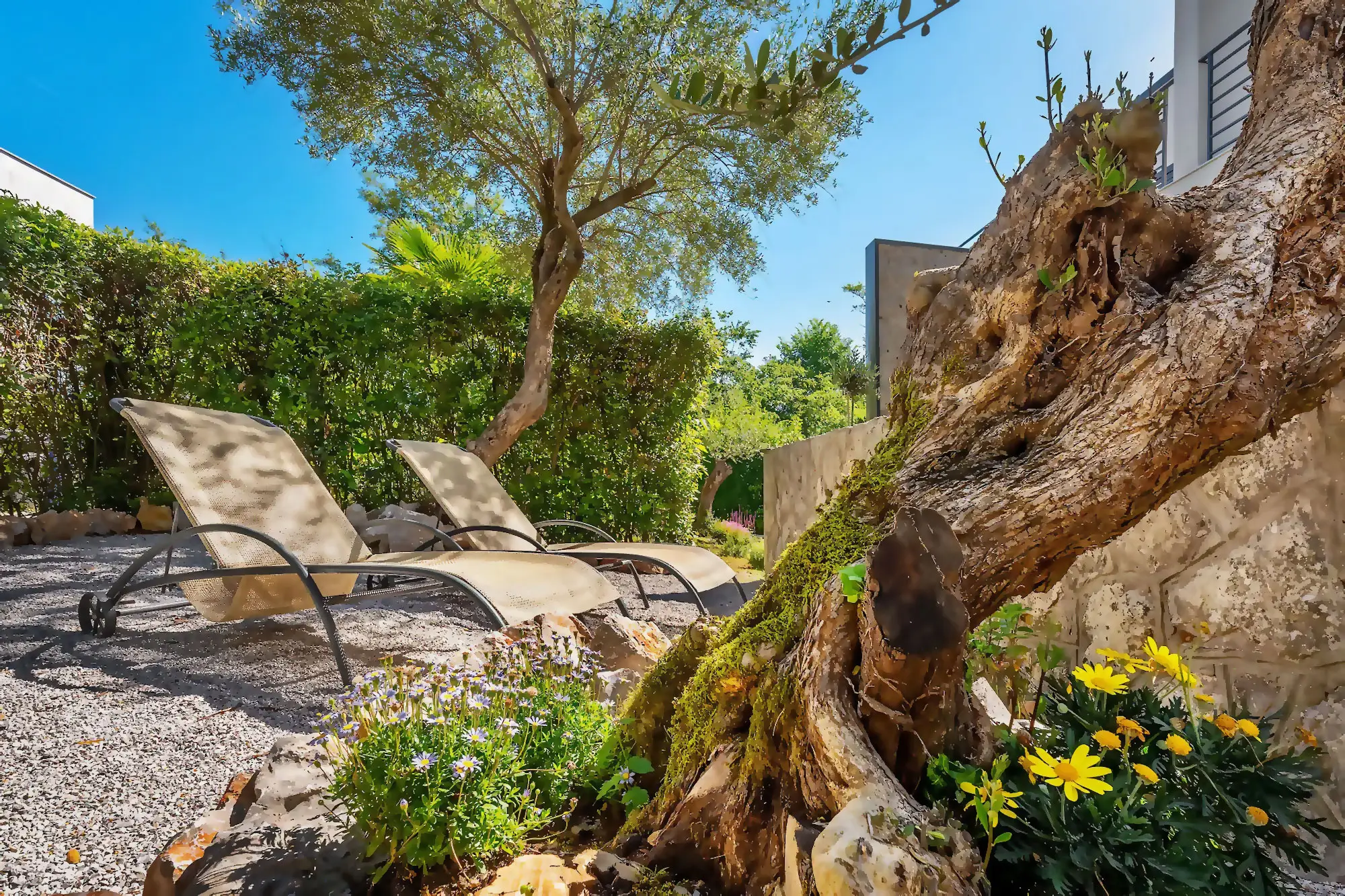 House Maxim - Garden